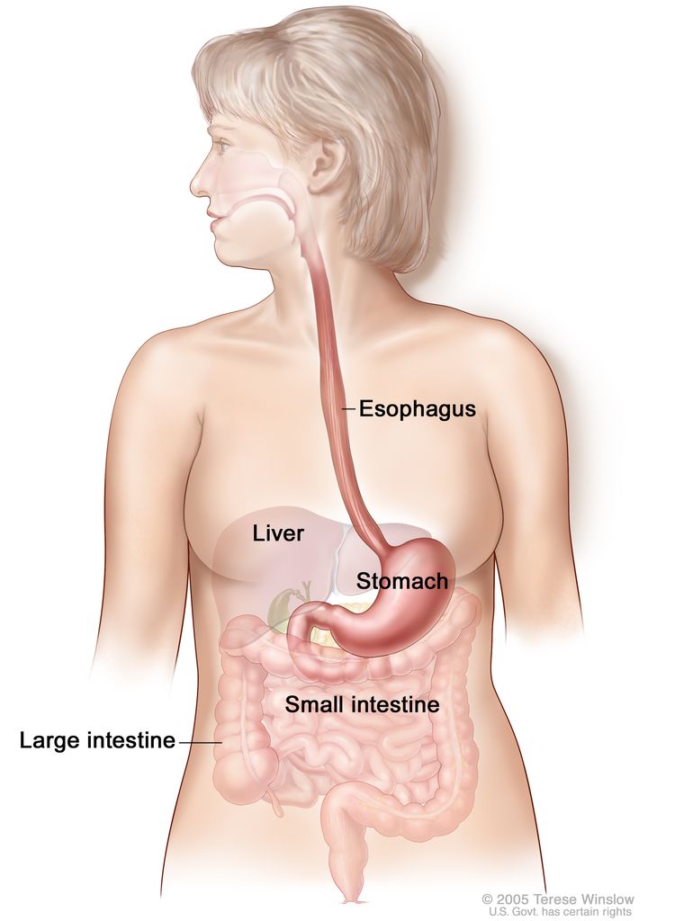can you get esophageal cancer from hpv