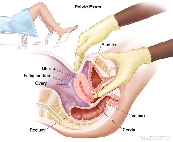 Gyno Exam Photos