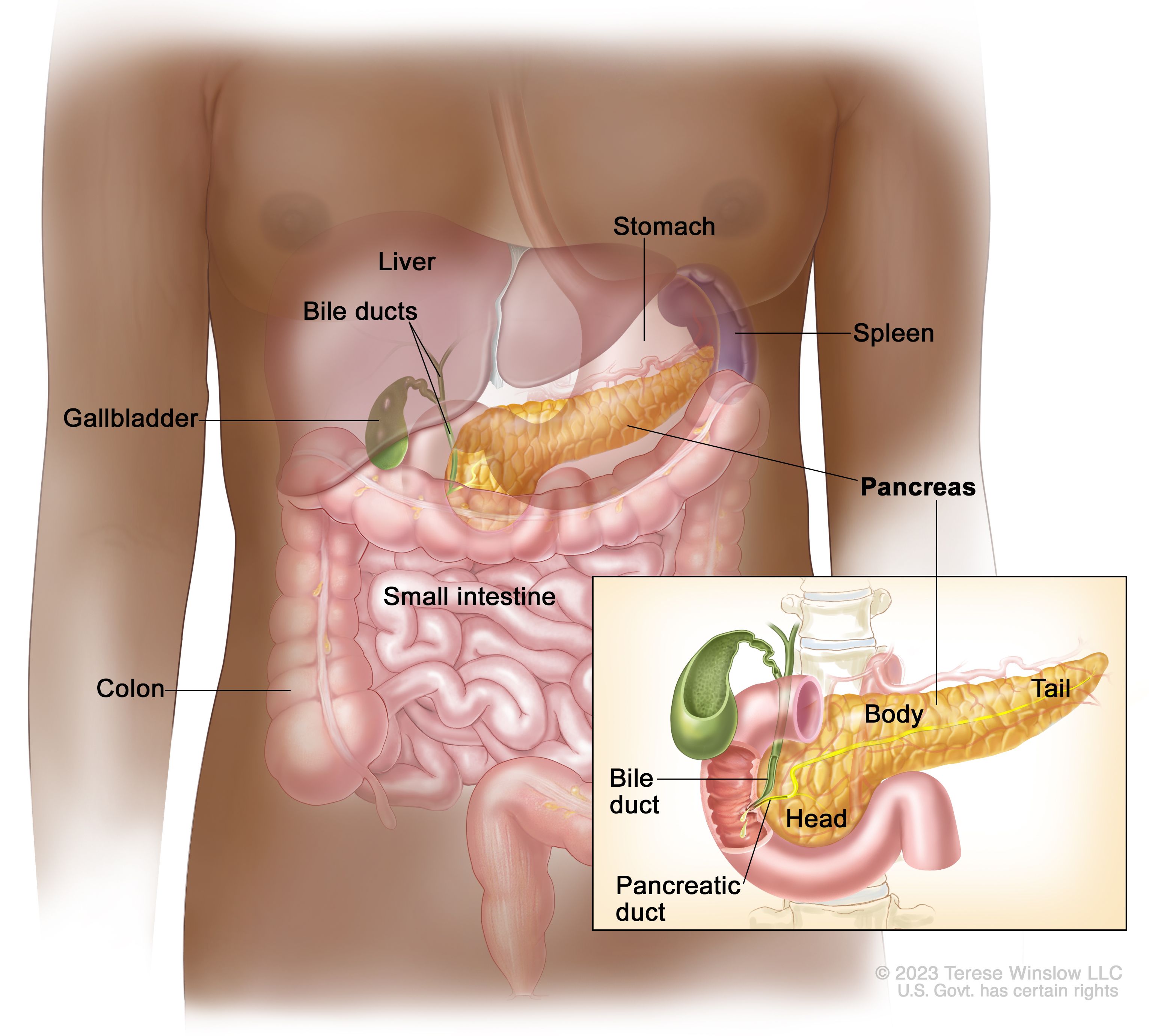 Pancreatic cancer end of life symptoms