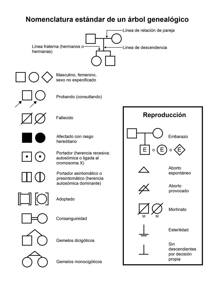 Nomenclatura estándar de un árbol genealógico. En el diagrama se muestran los símbolos comunes utilizados para trazar un árbol genealógico.