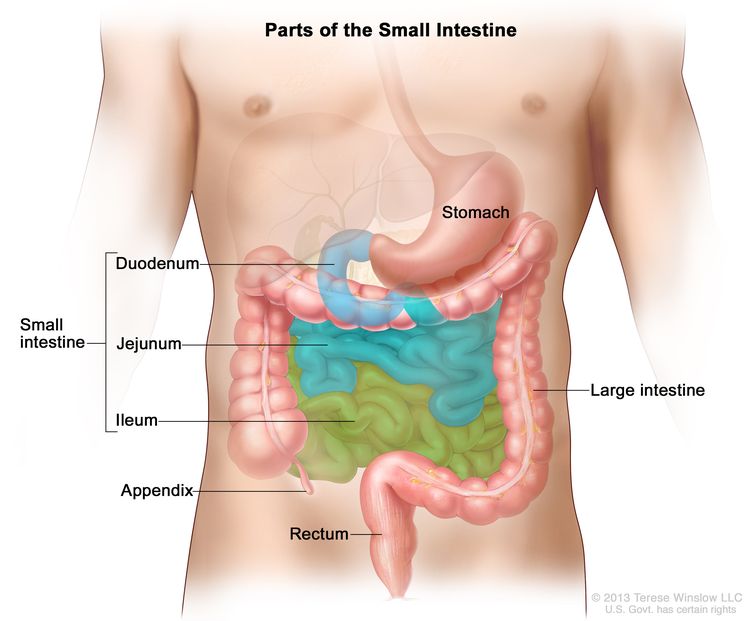 symptoms of small intestine problems