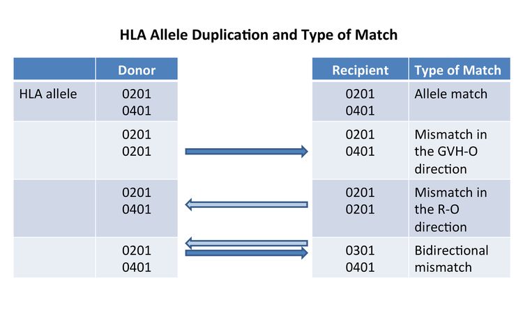 Chart showing HLA allele duplication and type of match between donor and recipient: an allele match (0201 and 0401 for both donor and recipient); a mismatch (0201 for both donor and recipient and 0201 for donor, 0401 for recipient) shown by an arrow pointing in a direction that promotes GVHD (GVH-O); a mismatch (0201 for both donor and recipient and 0401 for donor, 0201 for recipient) shown by an arrow pointing in a direction that promotes rejection (R-O); and a bidirectional mismatch (0201 for donor, 0301 for recipient, and 0401 for both donor and recipient) shown by arrows pointing in two directions, a direction that promotes rejection (R-O) and a direction that promotes GVHD (GVH-O).