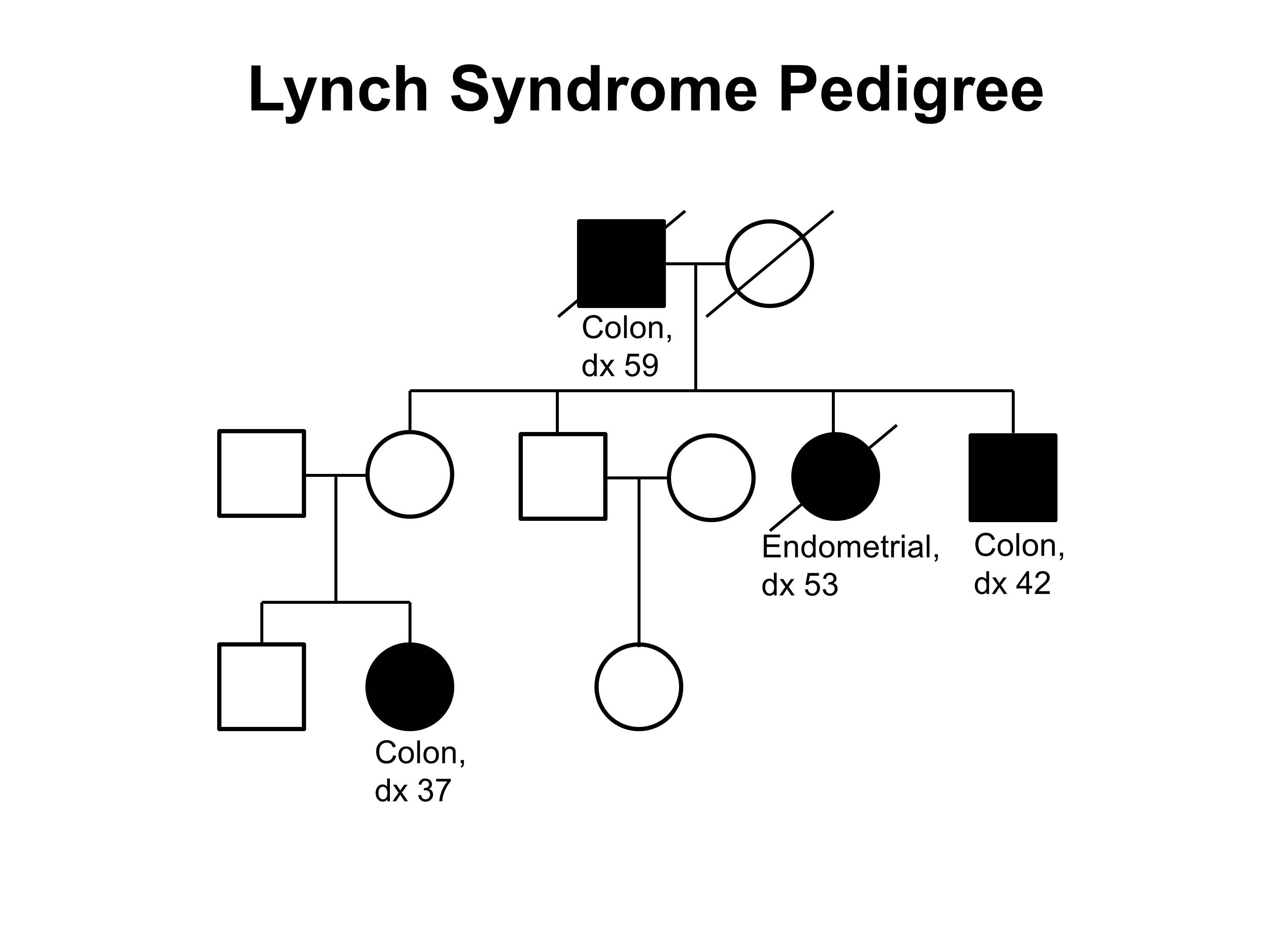 lynch syndrome chromosome