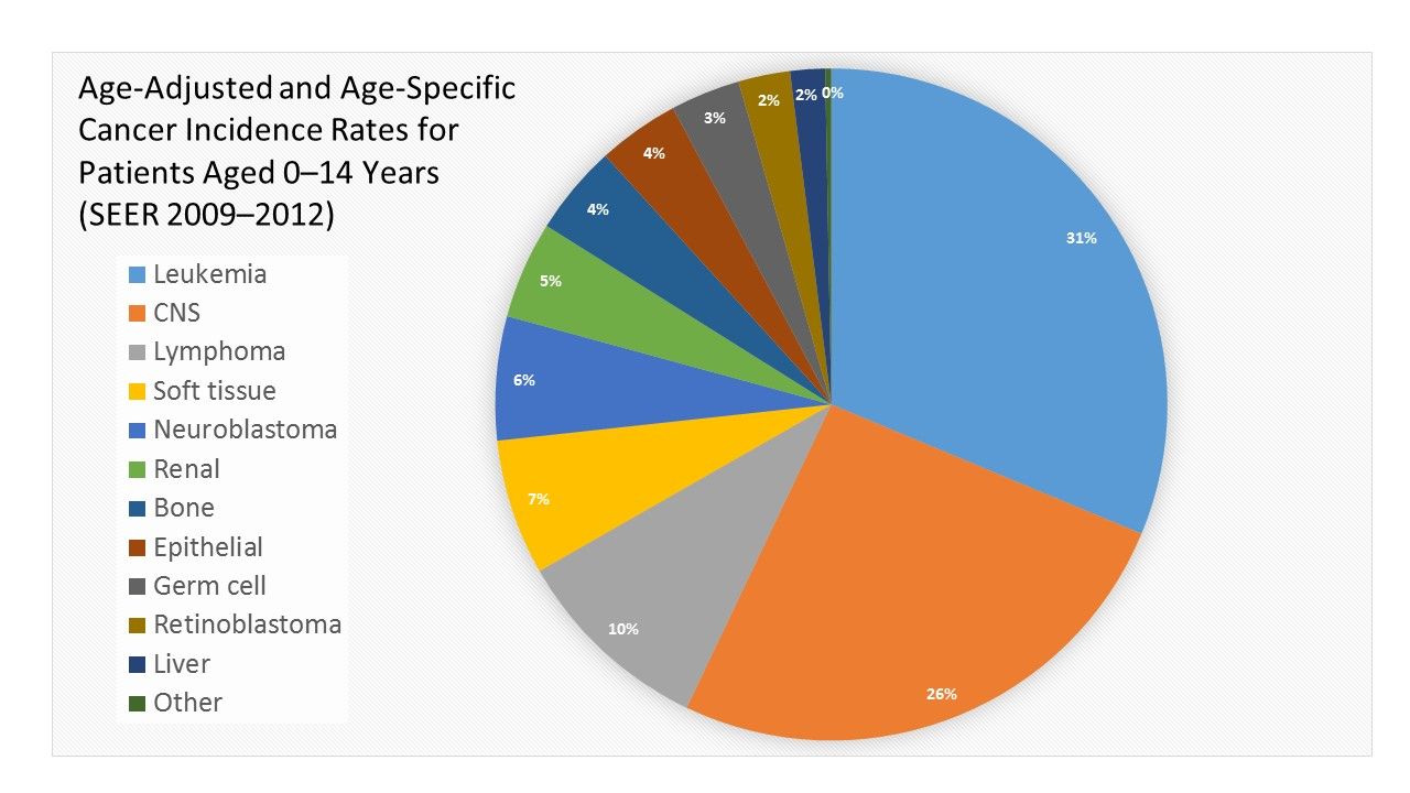 円グラフは0～14歳の患者の年齢調整および年齢別のがん発生率を示している（SEER、2009～2012年）。