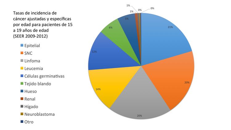 En el gráfico de sectores se muestran las tasas de incidencia de cáncer ajustadas y específicas por edad en pacientes de 15-19 años (SEER 2009-2012).