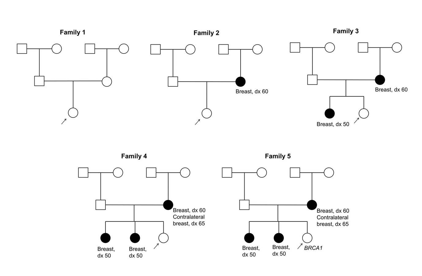 Five pedigrees are shown depicting probands with varying degrees of family history of breast cancer ranging from no affected first-degree relatives and no known BRCA mutation in the family (family 1) to three affected first-degree relatives, including one relative with bilateral breast cancer, and a known BRCA1 mutation in the family (family 5).