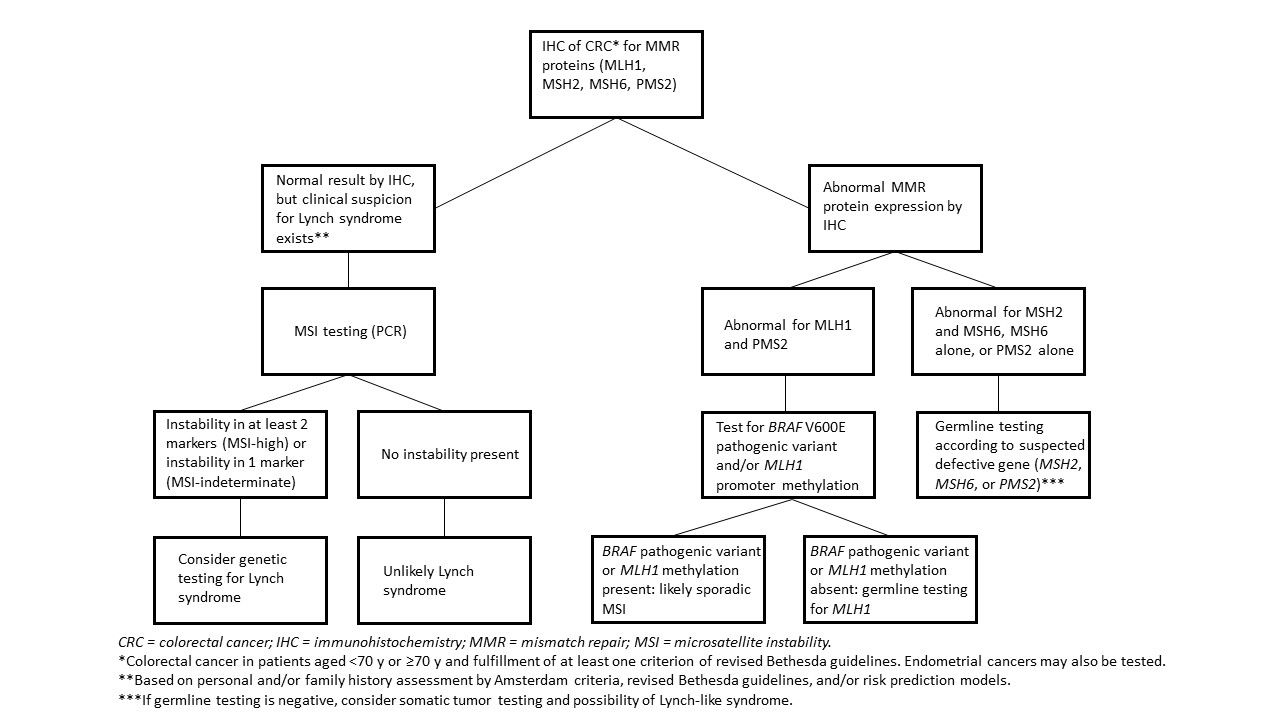 Breast Cancer Genetics: Syndromes, Genes, Pathology, Counseling