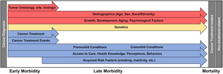 En el diagrama se observan los factores que influyen en la morbilidad y la mortalidad del sobreviviente de cáncer infantil.