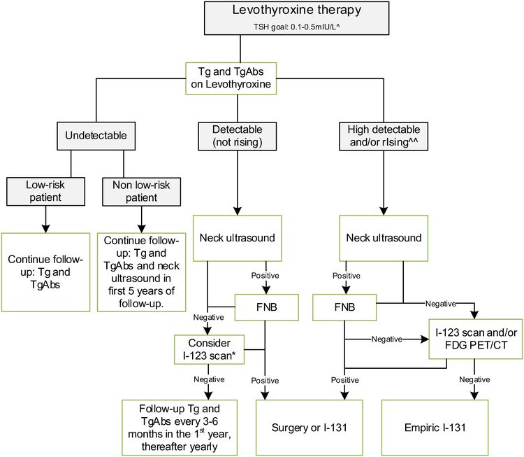 Flowchart showing the follow-up of children with differentiated thyroid carcinoma who achieved complete remission after initial treatment with total thyroidectomy and I-131.